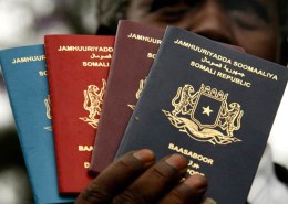 The Top 10 Strongest Passports in Africa