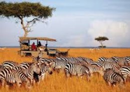 How to Plan a Solo Travel Adventure Within Africa State